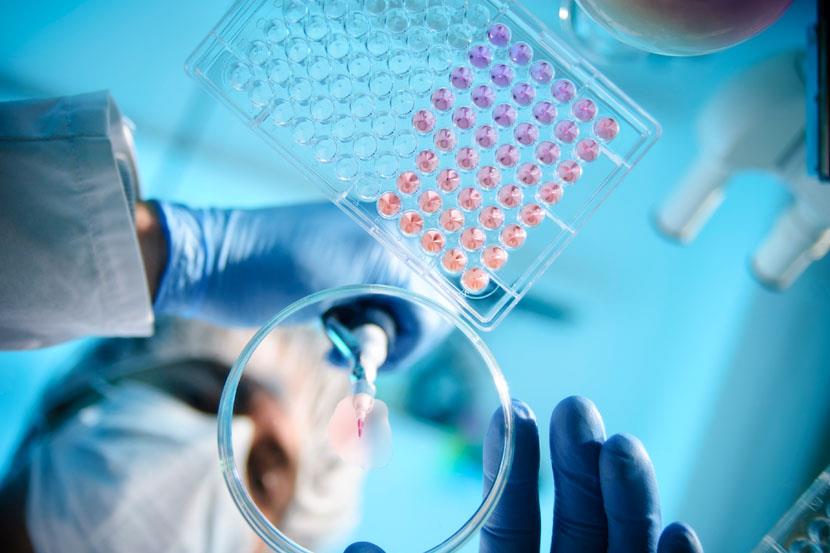 scientist using pipet to place sample on tray